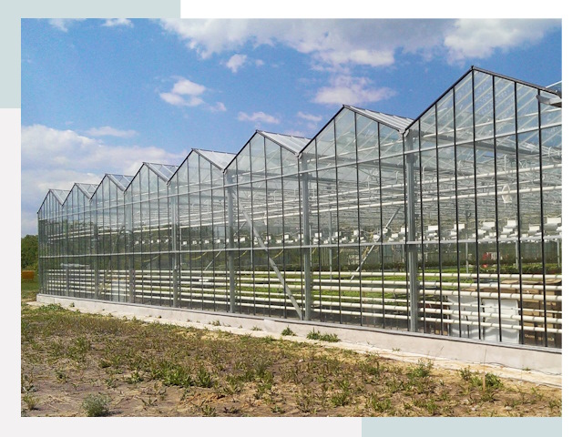 Строительство теплиц в Петрозаводск от 609 руб. за м²